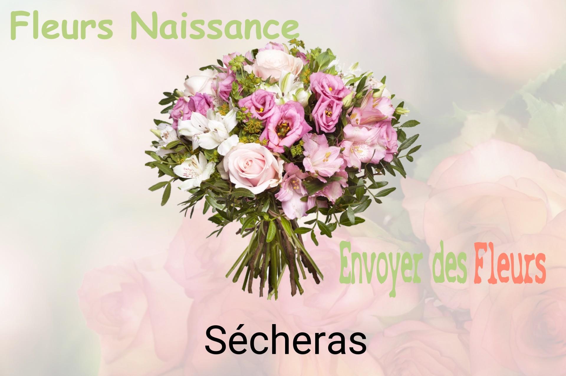 Bouquet de fleurs de naissance livré à Sécheras